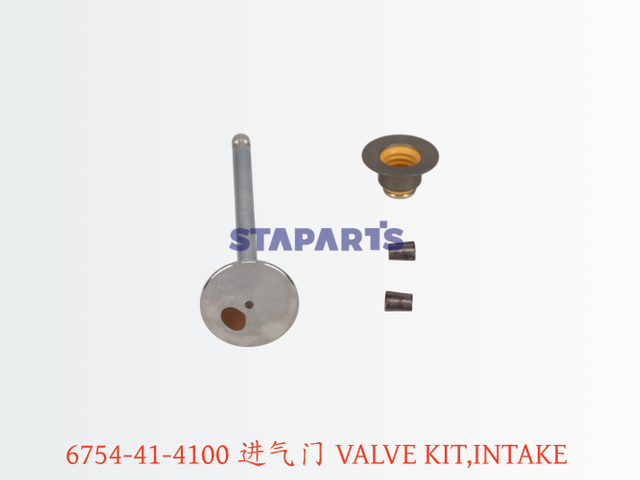 6754-41-4100 进气门 VALVE KIT INTAKE
