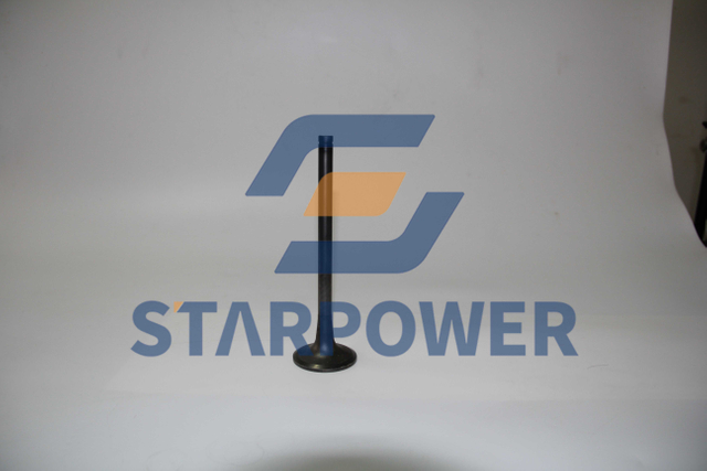 6162-43-4110 KOMATSU 进气门