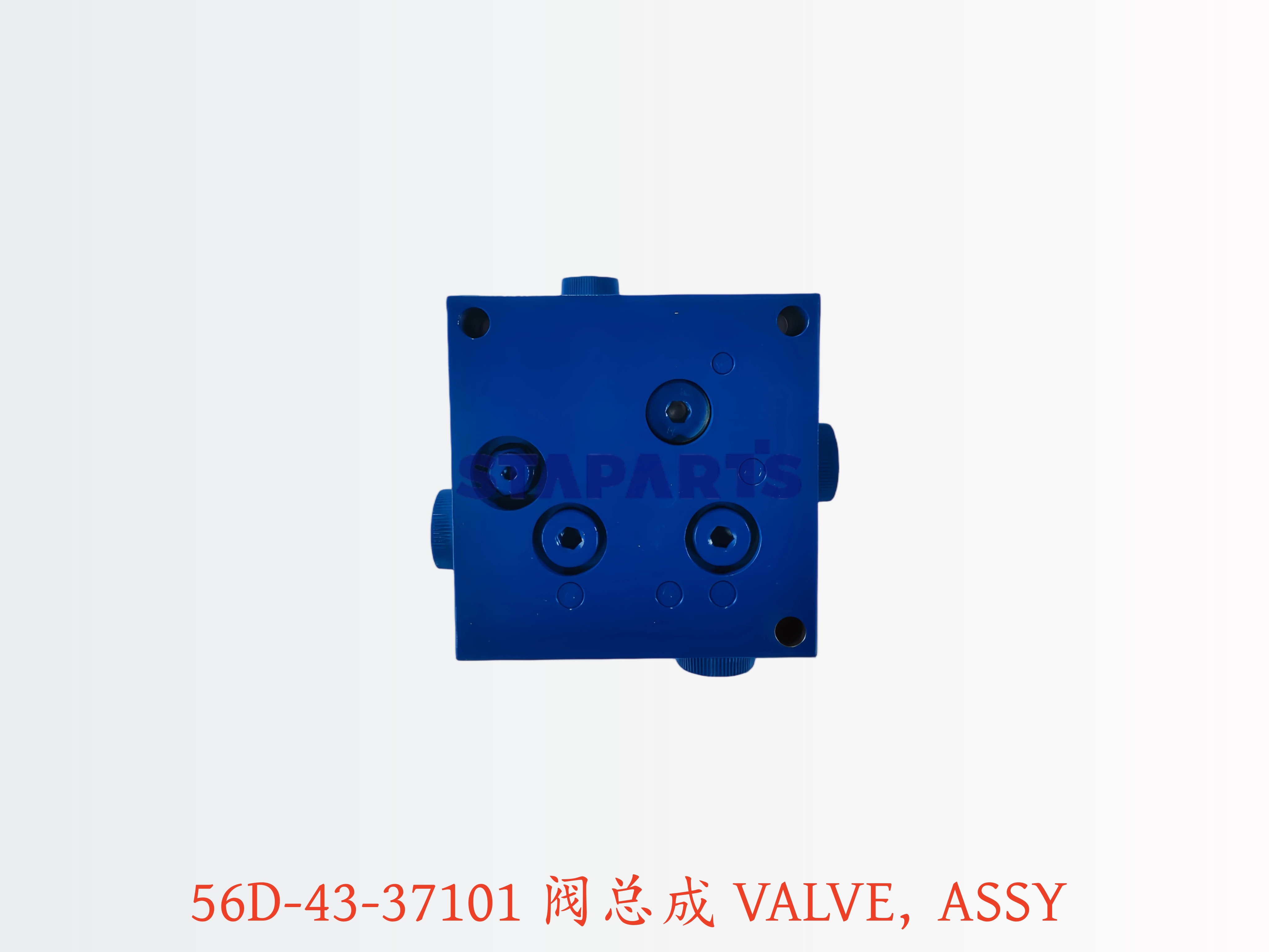 56D-43-37101 阀总成 Valve Assembly Charge