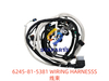 6245-81-5381 线束 WIRING HARNESSS