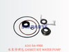 6241-K6-9900 水泵修理包 GASKET KIT WATER PUMP