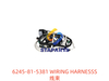 6245-81-5381 线束 WIRING HARNESSS