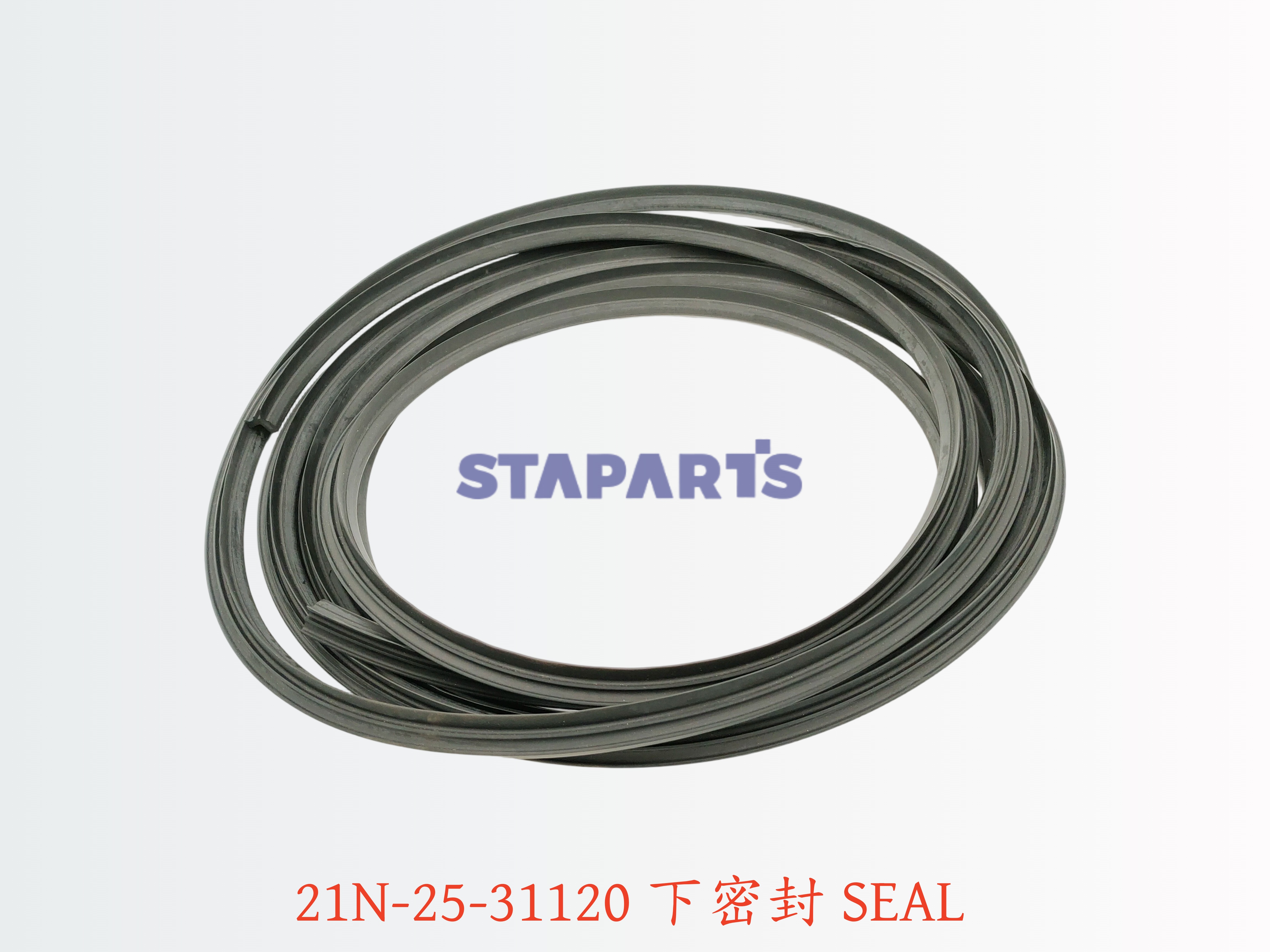 21N-25-31120 下密封 SEAL