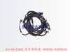421-06-Z2681 后车架线束 WIRING HARNESS